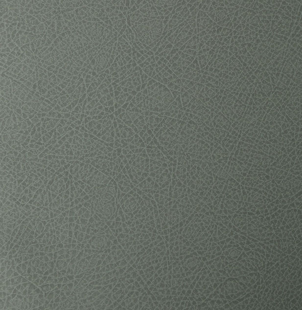DN006A